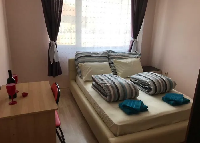 боряна プロヴディフ